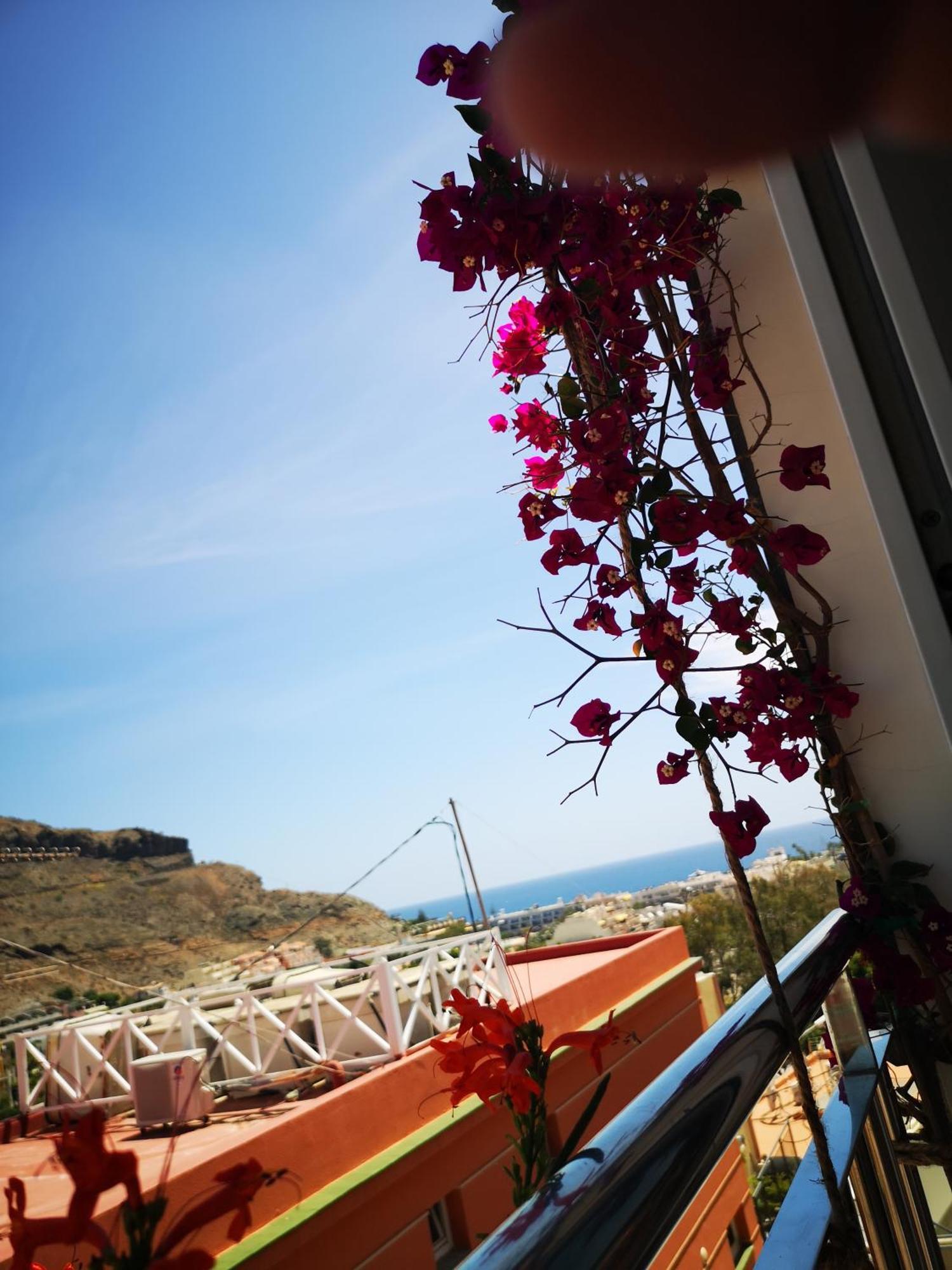 Sonneland Appartamento Puerto De Mogan